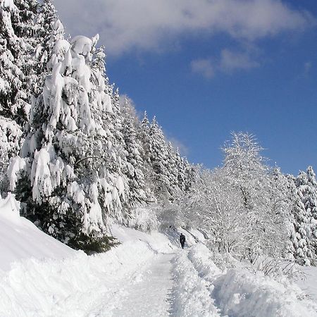 Ferienwohnung Am Eisweiher 티티제-노이슈타트 외부 사진