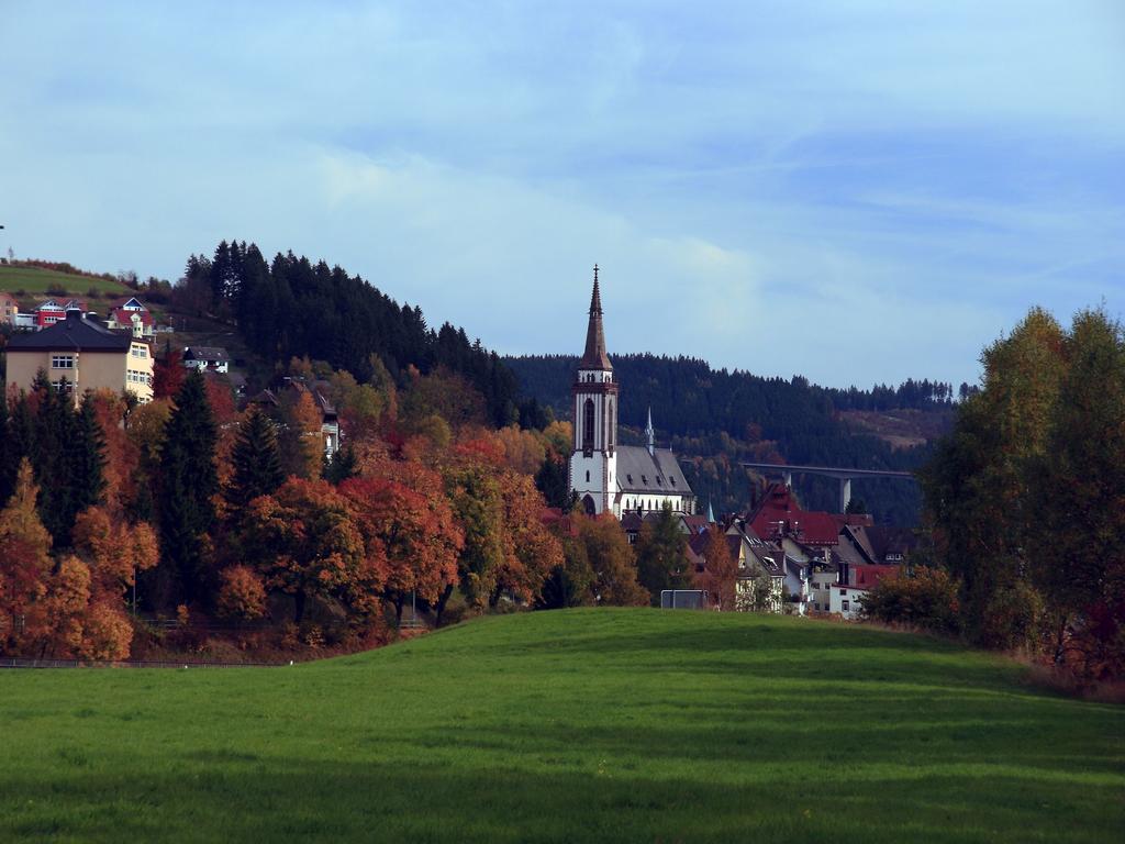 Ferienwohnung Am Eisweiher 티티제-노이슈타트 외부 사진