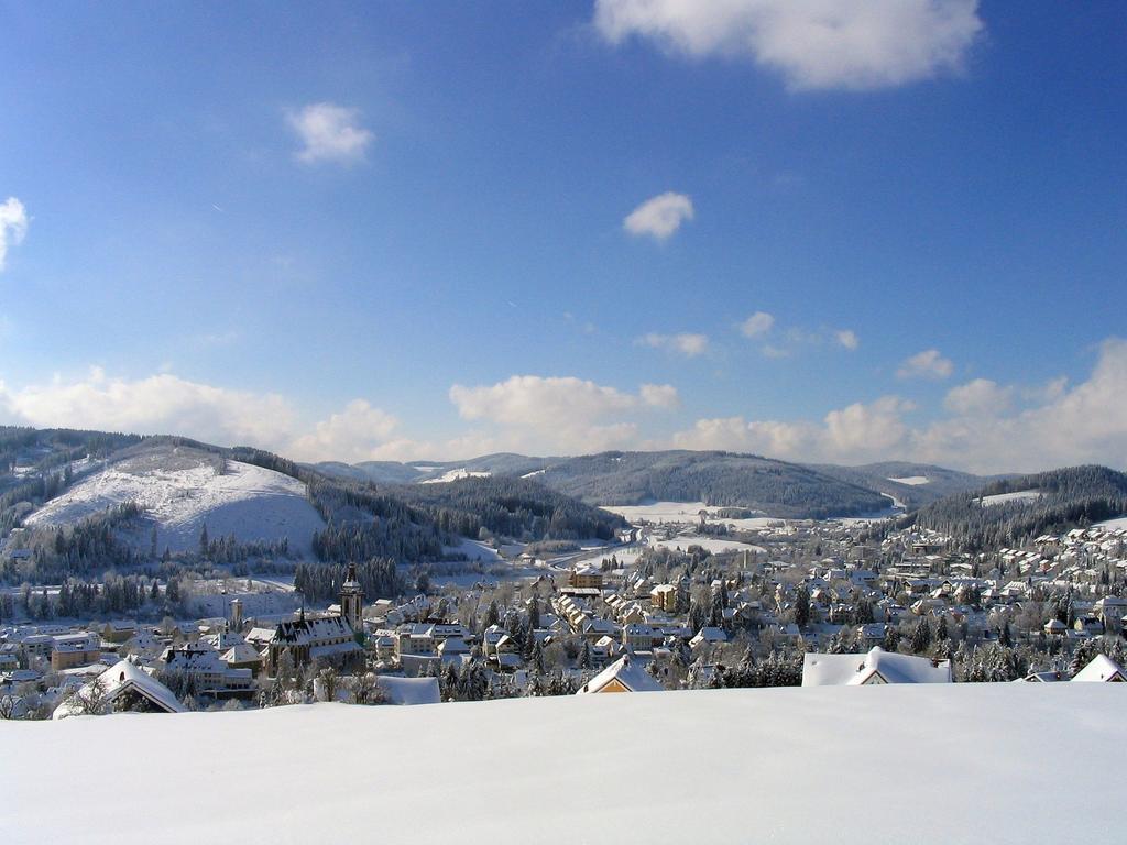 Ferienwohnung Am Eisweiher 티티제-노이슈타트 외부 사진